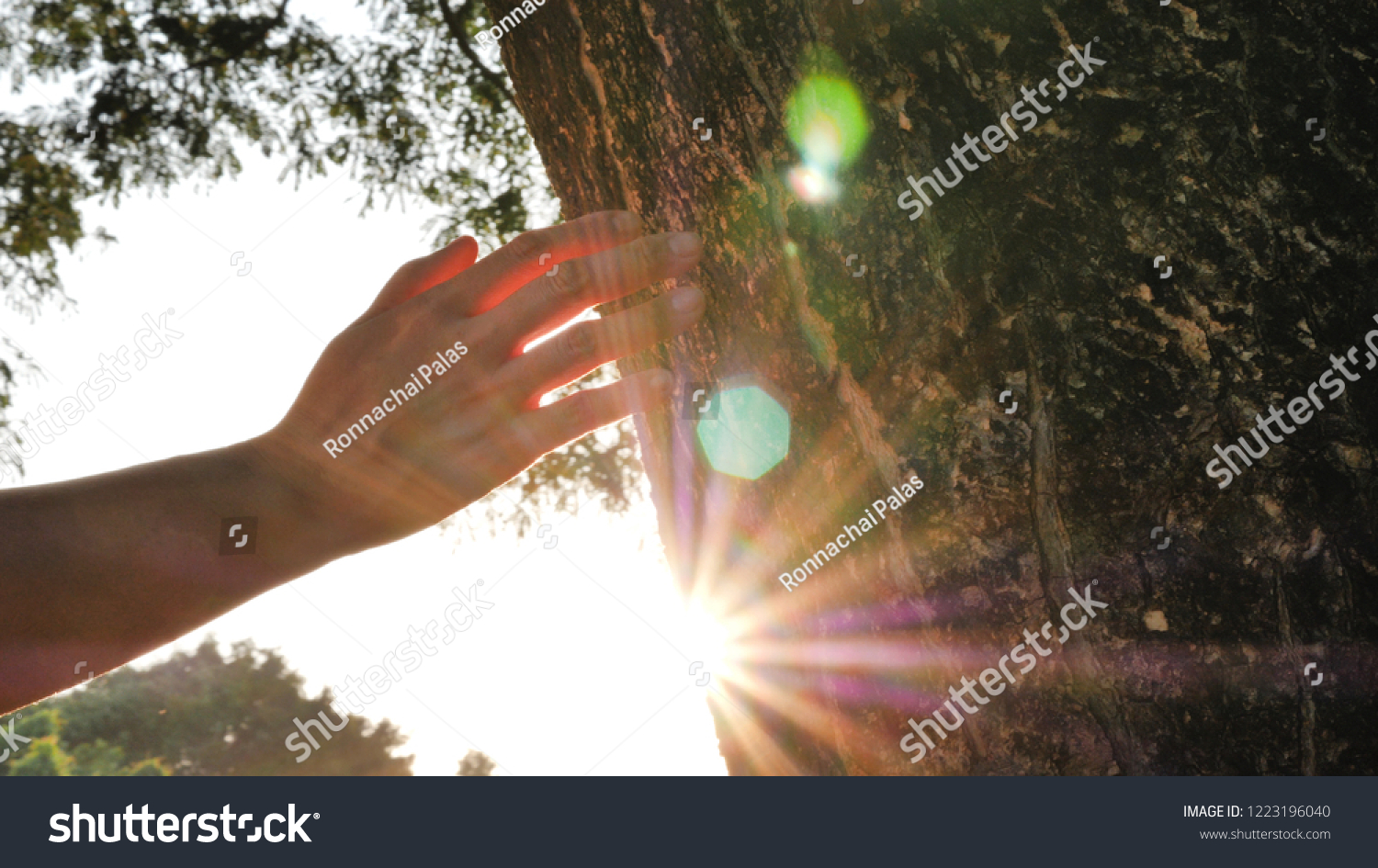 stock-photo-closeup-hand-touching-a-tree-trunk-in-the-forest-human-is-caring-about-nature-and-environment-1223196040.jpg