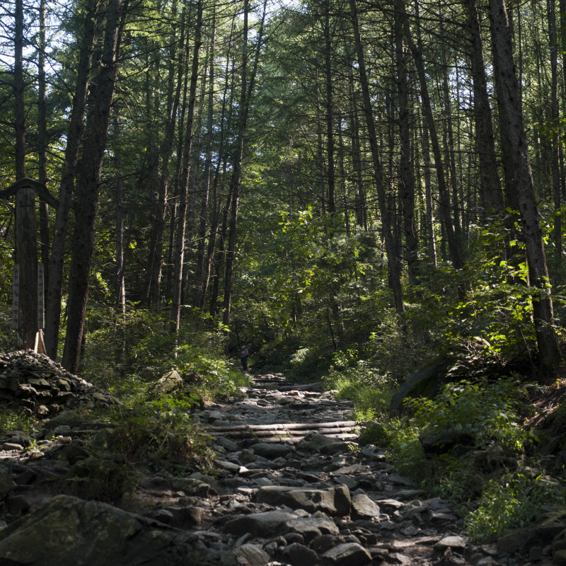새벽세시반이면자야지의 프로필 이미지