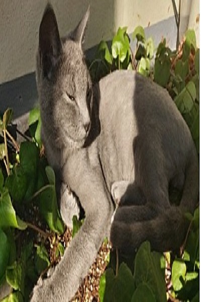 노래하는키보드의 프로필 이미지